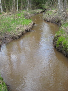 Kuva4b-paksunruskea-purovesi-5km-turvesuon-välialtaalta